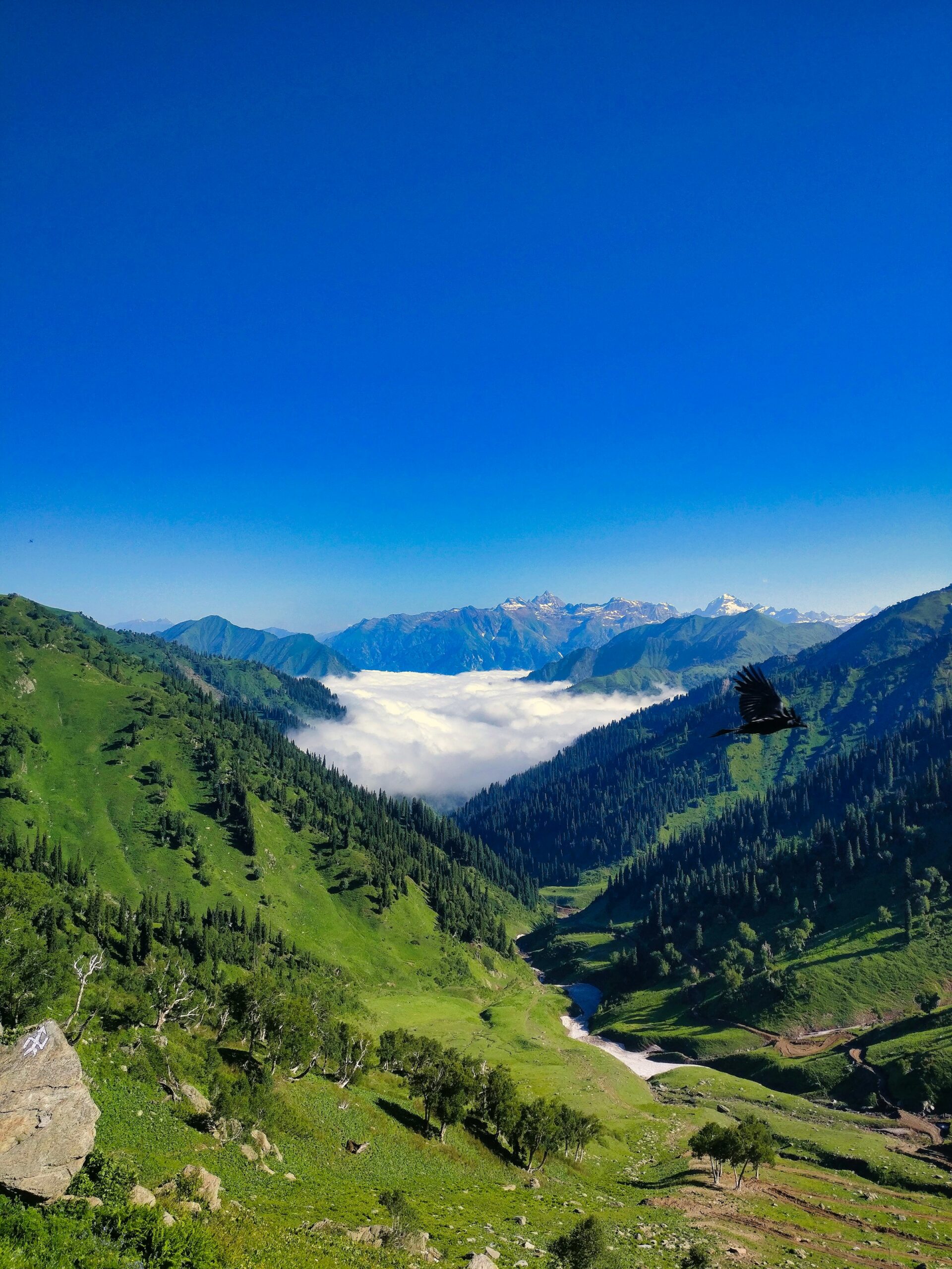 Kashmir Mountains
